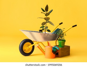 Set Of Gardening Supplies On Color Background