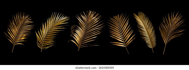 set of golden coconut leaves isolated on black background