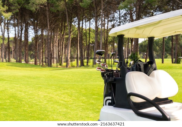 Set of golf clubs in golf bags in\
the back of a golf cart on a beautiful golf\
course