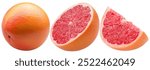 set of the grapefruits isolated on a white background.