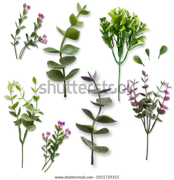 Set of green made branches and flowers isolated on white background