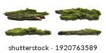 Set green moss on rotten bark tree isolated on white background