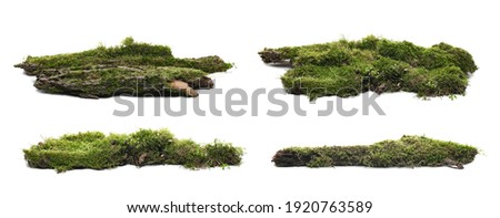 Set green moss on rotten bark tree isolated on white background
