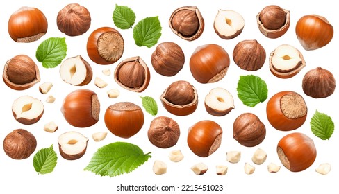Set of hazelnuts, green leaves and small nut pieces isolated on white background. Collection #2-3. Package design elements with clipping path
