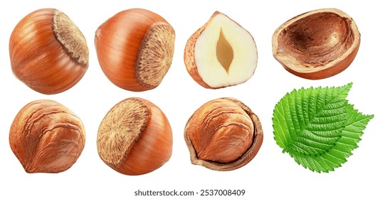 Set of hazelnuts, hazelnut kernel and green leaves on white background. Clipping paths.