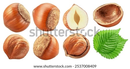 Set of hazelnuts, hazelnut kernel and green leaves on white background. Clipping paths.