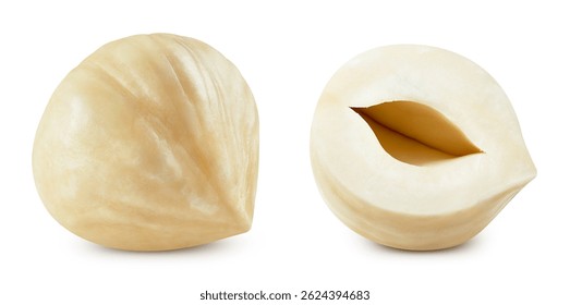 Set hazelnuts. Nut filberts and kernel of hazelnut. Hazelnuts Clipping path.