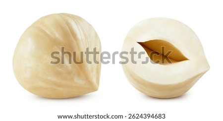 Set hazelnuts. Nut filberts and kernel of hazelnut. Hazelnuts Clipping path.