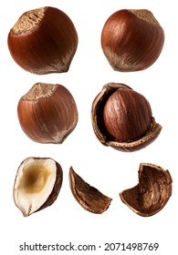 

Set of hazelnuts and shells carved from a white background. Tif file.