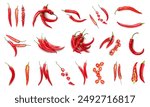 Set of hot chili pepper on white background, top view