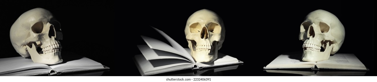 Set with human skulls and books on black background. Banner design - Shutterstock ID 2232406391