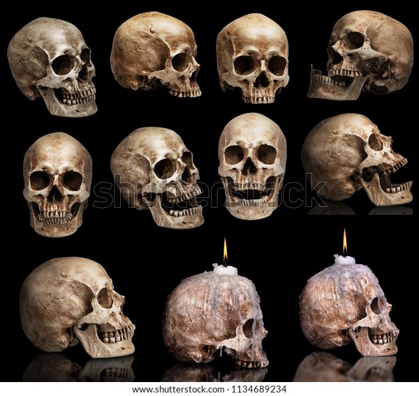 Set Human Skulls Different Angles Isolated Stock Photo (Edit Now