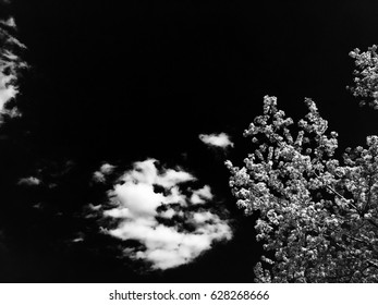 Set of isolated clouds over black. Design elements 