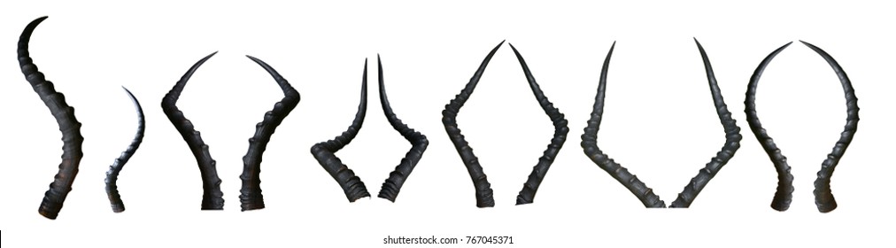 Set of isolated horns - Shutterstock ID 767045371