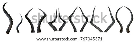 Set of isolated horns