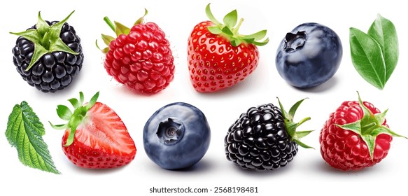 Set of juicy berries: blackberry, raspberry, strawberry, blueberry, bilberry, leaves, isolated on white background.