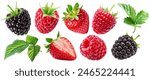 Set of juicy berries: strawberry, raspberries, blackberries, cut strawberry and raspberry leaves isolated on a white background.