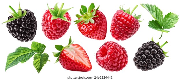 Set of juicy berries: strawberry, raspberries, blackberries, cut strawberry and raspberry leaves isolated on a white background.