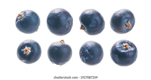 A set of juniper berries. Isolated on a white background