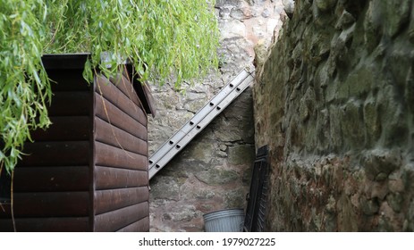 A Set Of Ladders, Garden Shed Next To A Willow Tree During The UK Spring Season