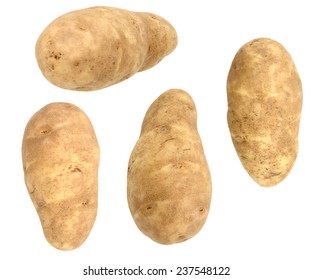 Set Of Long Russet Potatoes Isolated