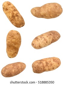 Set Of Long Russet Potatoes Isolated