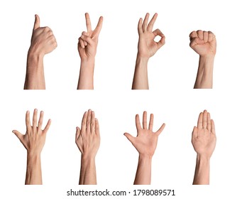 Set of male hands showing various gestures on white background, creative collage - Shutterstock ID 1798089571