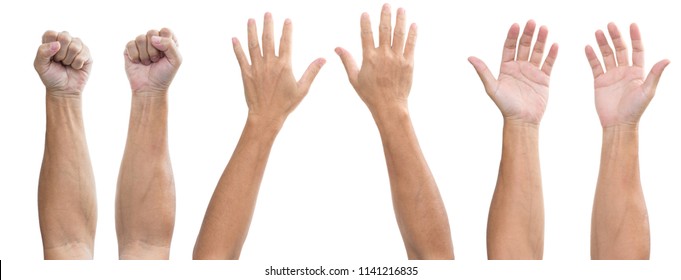 set of man hands isolated on white background