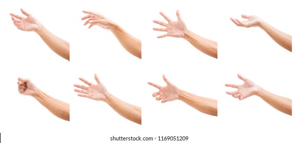 Set of man hands isolated on white background - Shutterstock ID 1169051209