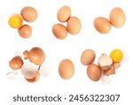 Set with many eggs and yolks on white background, top view