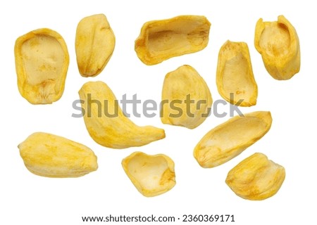 Set of multiple different dried jackfruit chips, dried jackfruit fruit isolated on white background with clipping paths. Flat lay, top view