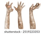 Set of mummy hands have dirty bandages on them. Mummy, devil, evil, satan or zombie hands are isolated over a white background. Halloween concept