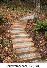 A Set Of New Steps Into Interlaken Park In Seattle Designed And Built As An Eagle Scout Project By The Boy Scouts.