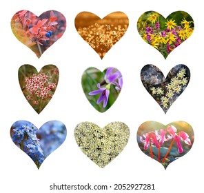 ハート 花 イラスト の写真素材 画像 写真 Shutterstock