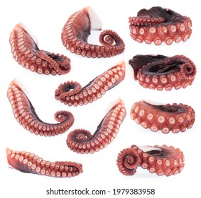Set of octopus tentacles isolated on white background.