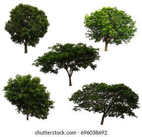 194 Tree od life Images, Stock Photos & Vectors | Shutterstock