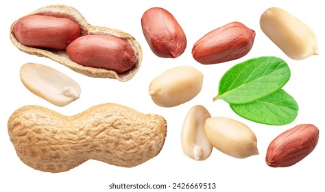 Set of peanut whole and cracked with leaves isolated on white background. File contains clipping paths.