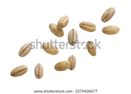 Set of pearl barley flies close-up on a white background. Isolated