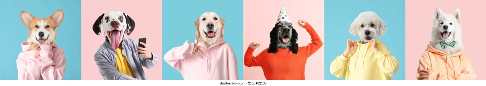 Set People Dogs Heads On Colorful Stock Photo 2153182133 | Shutterstock