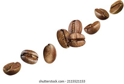 2,130 Coffee Bean Fly Images, Stock Photos & Vectors | Shutterstock