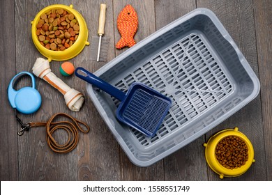 Set Of Pet Supplies On Wooden Background, Top View. Leashes, Toys, Litter Box And Food.