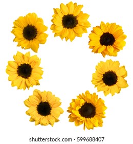 A set of photos of shiny yellow sunflowers, isolated on white. A wreath for a postcard or invitation design