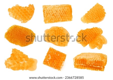 Set with pieces of honeycomb isolated on white