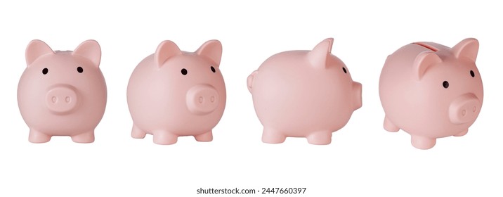 Set Piggy bank pig on isolated white background close up