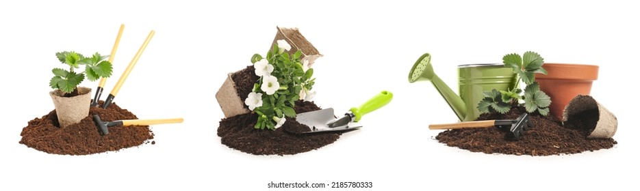 Set of plants, soil and gardening tools on white background - Powered by Shutterstock