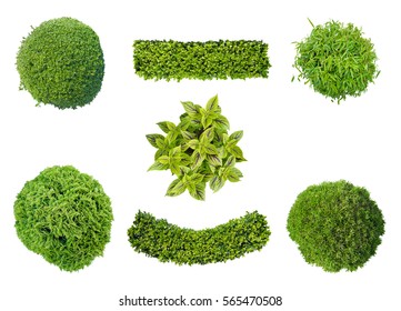 set of plants in top view isolated on white background for garden and landscape architecture