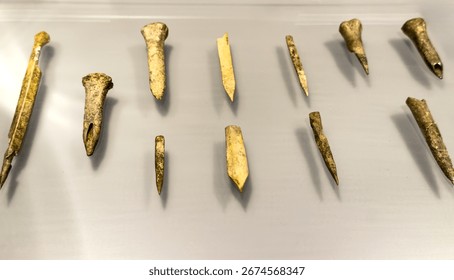 Set of prehistoric bone tools with sharp tips, used for sewing, piercing, or engraving