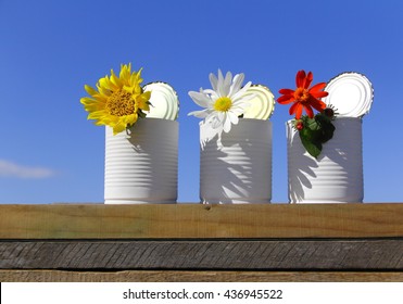 Set of recycled cans. Daisies flowers in three recycled cans over wood boards on blue sky.   - Powered by Shutterstock