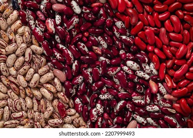 Set of red beige pinto beans, white purple anasazi beans and red kidney beans. Food background. Top view.
