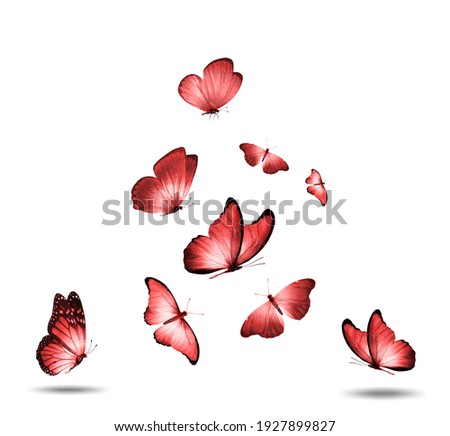 set of red flying butterflies isolated on a white background
